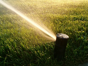 Sprinkler Watering Lawn